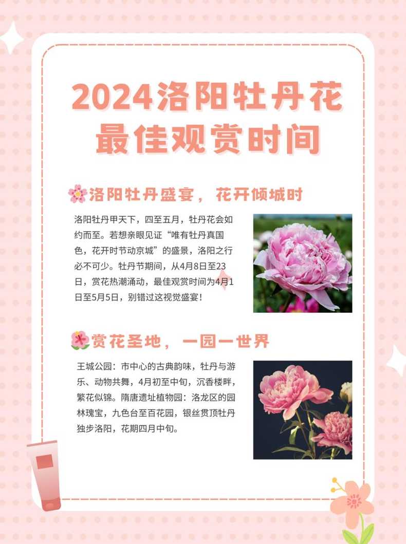 洛阳牡丹花会(洛阳牡丹花会时间2025)