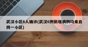 武汉小区6人确诊(网传武汉一小区有新增病例)