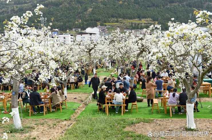 2013苍溪梨花节〖苍溪第一届梨花节有哪些明星〗