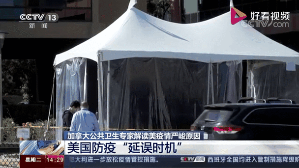 美国加州疫情最新消息_美国加州疫情实时动态