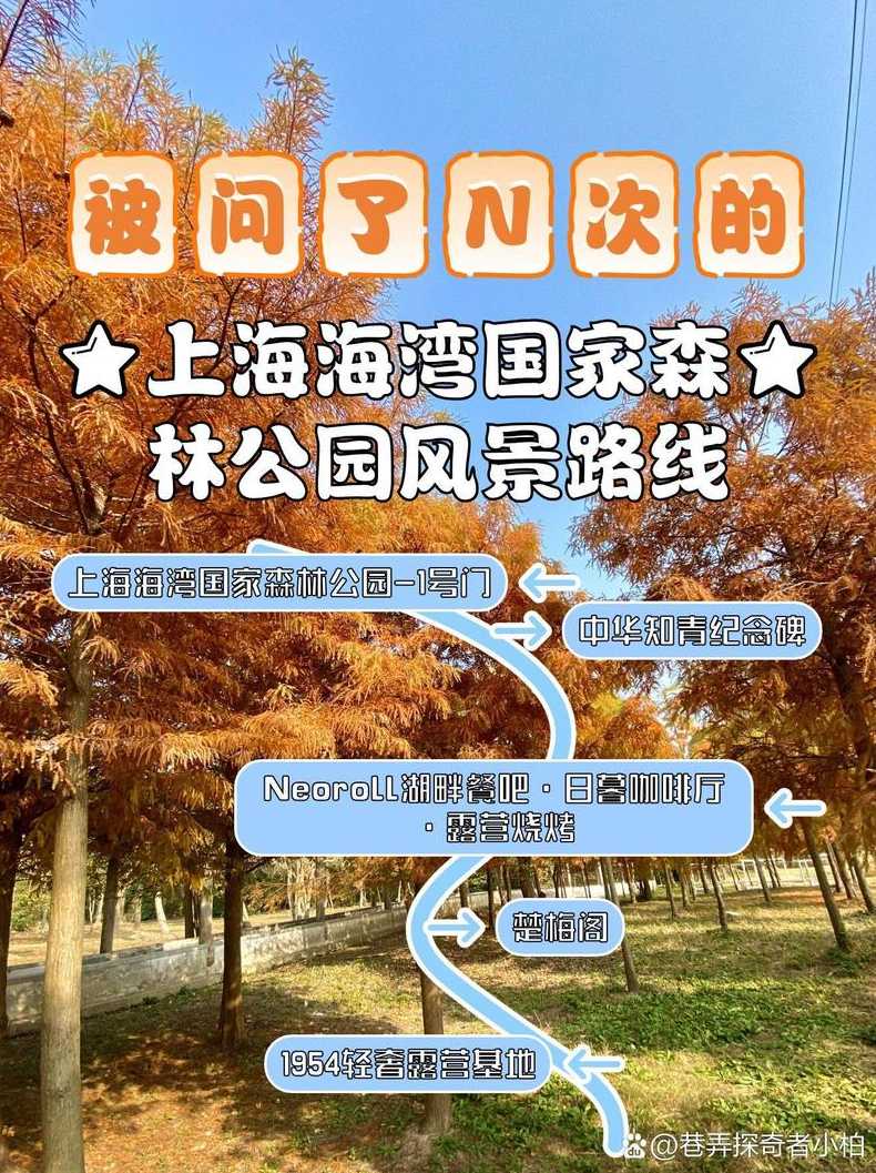 奉贤海湾森林公园_奉贤海湾森林公园简介 门票